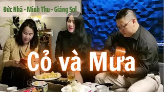 CỎ VÀ MƯA | MINH THU | Sáng tác GIÁNG SOL