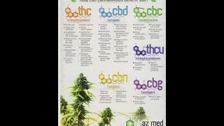 Cannabis Talks #Khanology