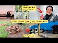 عاش الملك على نعمة الراحة والاتستقرار حققت ليها حلمها 