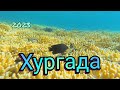 Чем удивит море в Сахл Хашиш. Хургада, Египет 2023