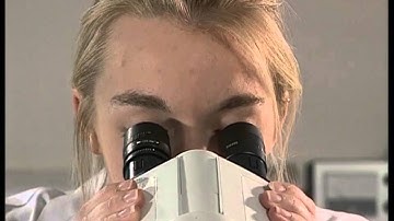 An Introduction to Microscopy