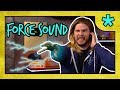 The Sound of FORCE THUNDER | Because Science Footnotes