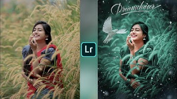 Lightroom Green and Bird Effect Photo Editing Tutorial | Lightroom Background Colour Change Editing