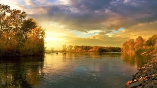 Beautiful Relaxing Music for Stress Relief • Relax, Sleep, Meditate, Study★328🍀