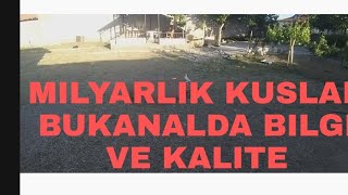 Kalite Beyaz Aydin Ataman Abimizin Olmazsa Olmazin Özünden