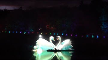 Màn chiếu sương - Màn hình nước - Màn chiếu 3D | UNION JSCO