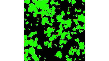 Mussel disturbance model