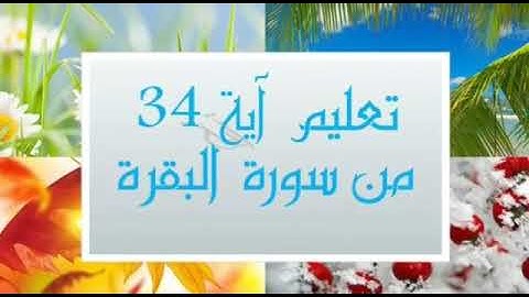 تعليم سورة البقرة اية رقم ٣٤ للشيخ جمال القرش