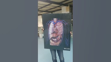 3D poster made by lenticular,digital printing