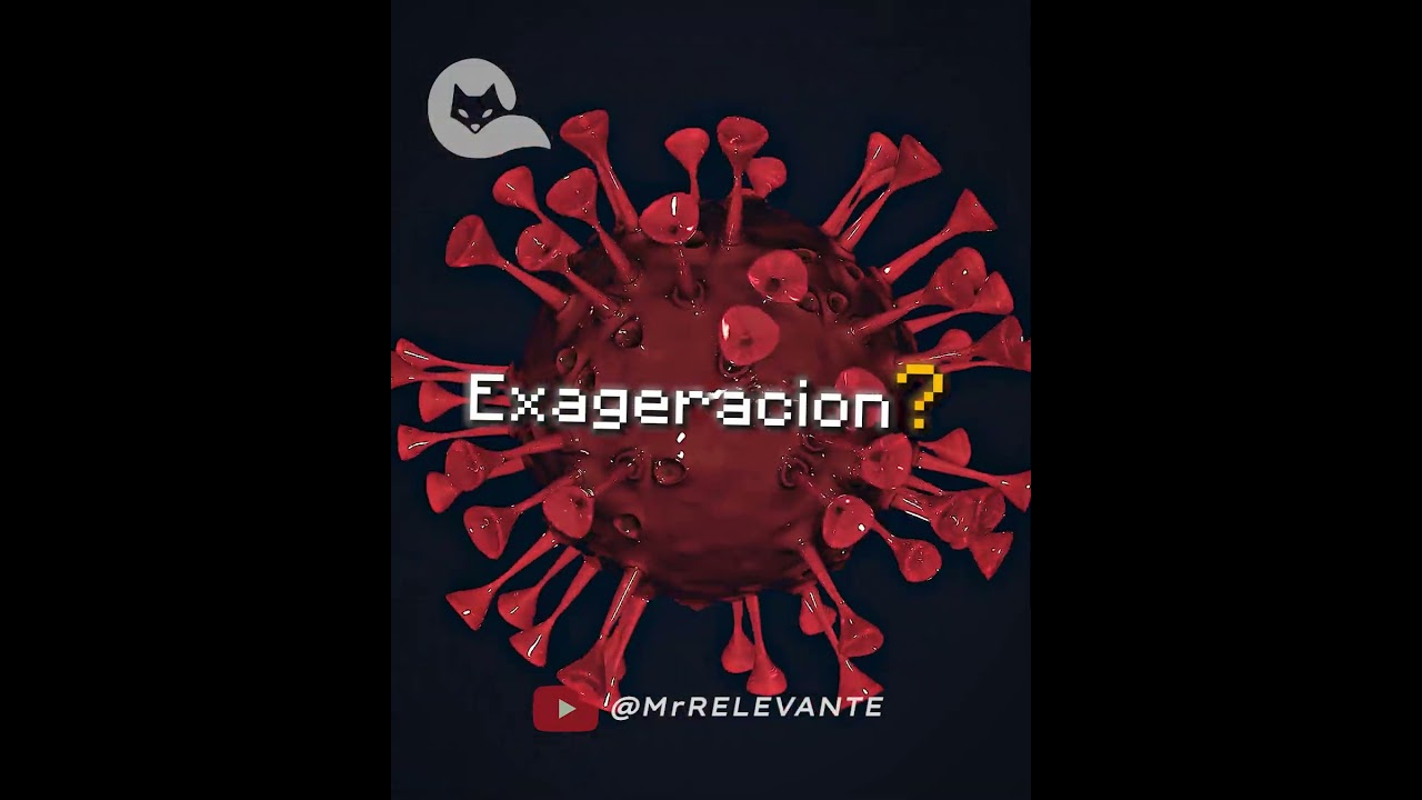 CUIDA a tu GATO 🙀 #mrrelevante #datoscurisos #culturapop