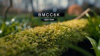 BMCC6K FULL FRAME | OPEN GATE 3:2  | BMCC6K + Sigma Art 24mm + Canon 70-200mm | Scheerwald