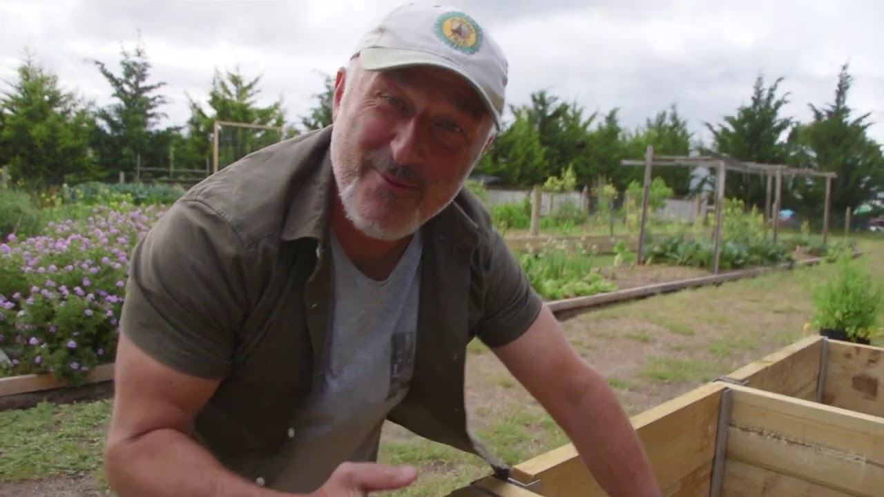 Check the temperature of your compost using a thermometer - YouTube