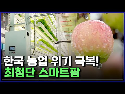 한국 농업 위기 극복! 최첨단 스마트팜 | 사이언스포럼 [반복재생]/YTN 사이언스