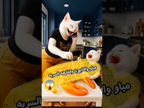 Meow The Caporia The Secret Mixture And An Unexpected Ending