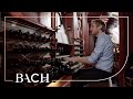 Bach - Prelude and fugue in G major BWV 550 - Havinga | Netherlands Bach Society