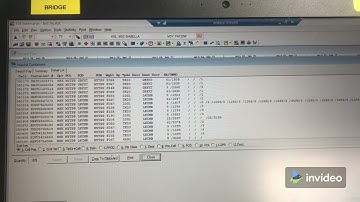 Working on Loadicator TSB Supercargo (CASP) - Checking DG and REEFER Cargo