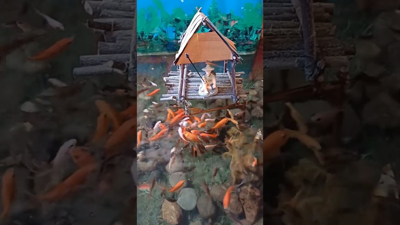 Misi Memindahkan Ikan ke Area Mancing yang Baru – Seri 48 