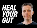 Fuel your microbiome through plantbased nutrition  dr alan desmond x rich roll