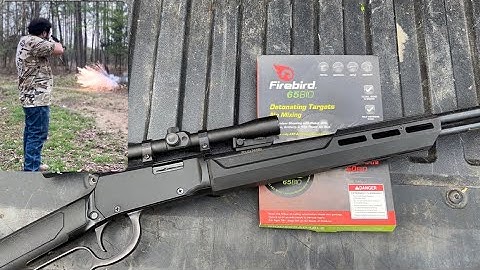 .22 LR vs FIREBIRD (Exploding Targets)