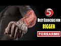 5 Best Exercises For Forearms | Forearms Workout @BuddyFitness