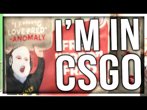I GOT ADDED TO CS:GO (ANOMALY EASTER EGGS)