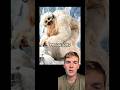 Wampas from Star Wars are actually terrifying...
