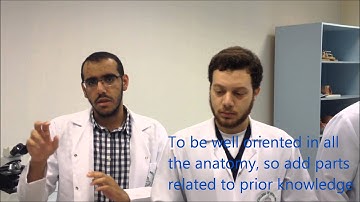 How to improve content of iTunes U anatomy courses?