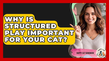 Why Is Structured Play Important For Your Cat? - Happy Cat Handbook
