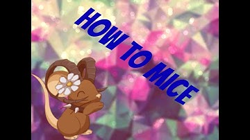 Transformice: How To Mice