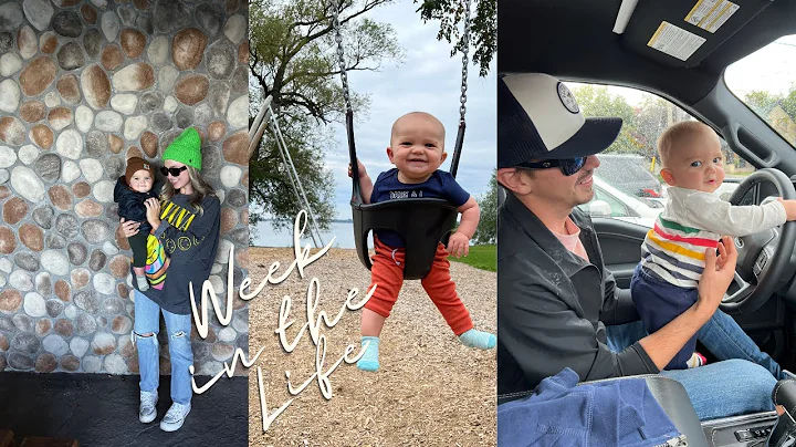 WEEK IN THE LIFE: Al got mad, lots of walks, stay ...