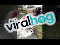 Man Slips and Falls While Stocking Pond With Fish || ViralHog