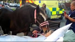 Woman dies after farewell to horse at Wigan hospital Woman dies after farewell to horse at Wigan hospital