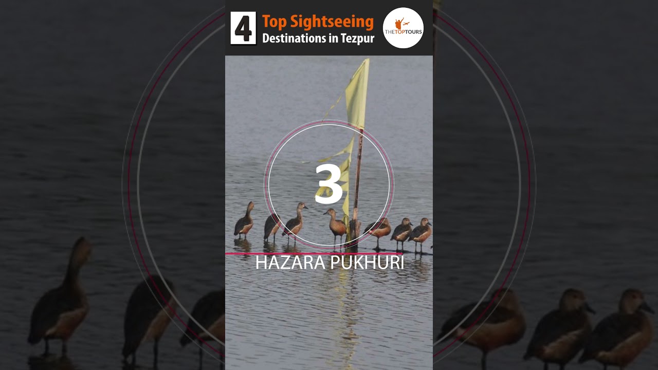 4 Top Sightseeing Destinations in Tezpur, Assam 