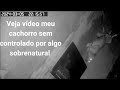 6 de março de 2024