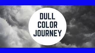 DULL COLOR JOURNEY