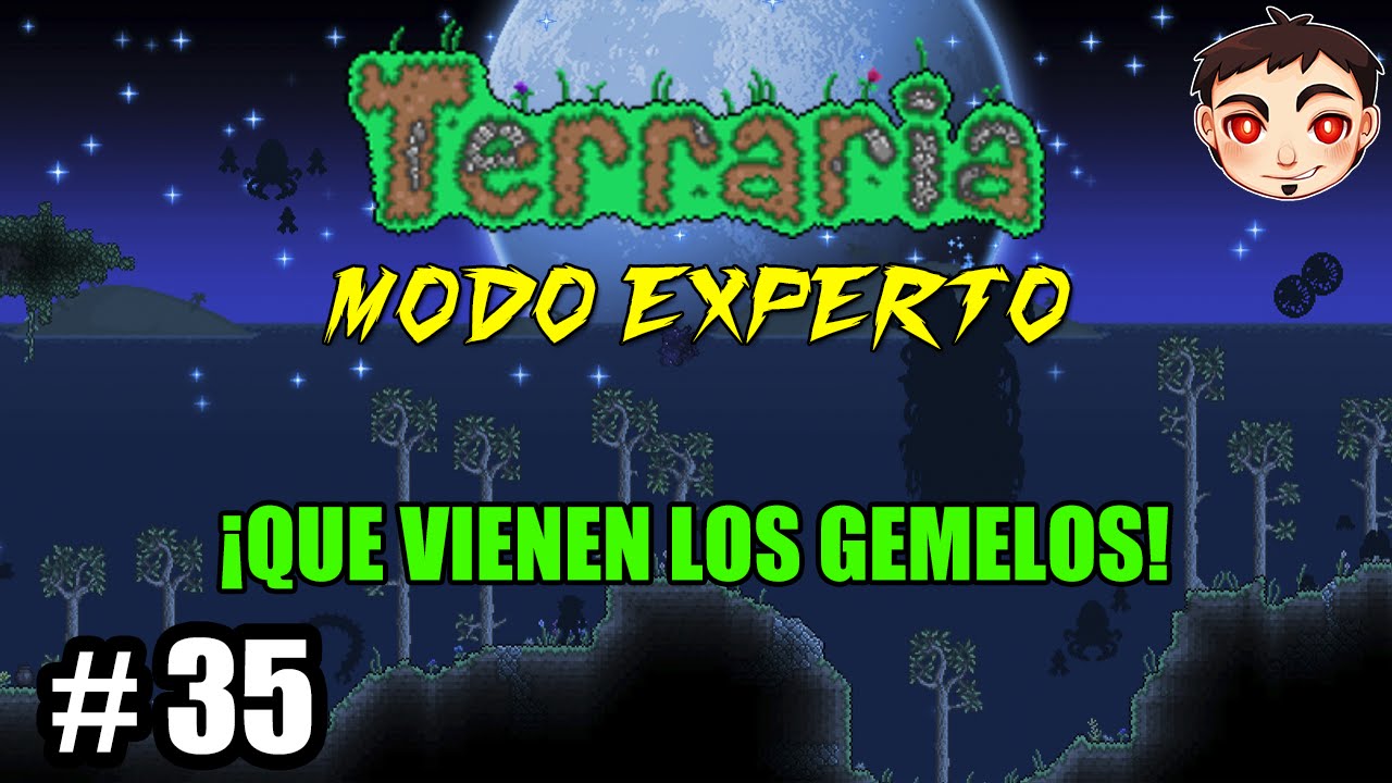 Terraria t