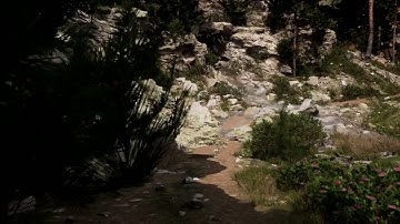 Fluid Flux - Mountain Forest Trail