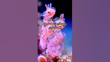 #shortvideo سوره بقره آیه ۳۳ #اكسبلور #المصحف #viralvideo #تيك_توك #صلوا_على_رسول_الله #duet #لايك