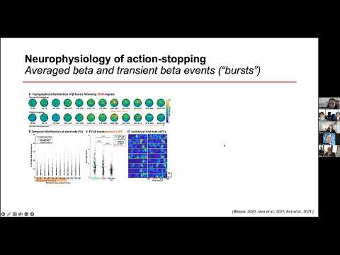 Auditory input to the basal ganglia; Deep brain stimulation and action-stopping: A cognitive neuroscience perspective on the contributions of fronto-basal ganglia circuits to inhibitory control recording thumbnail