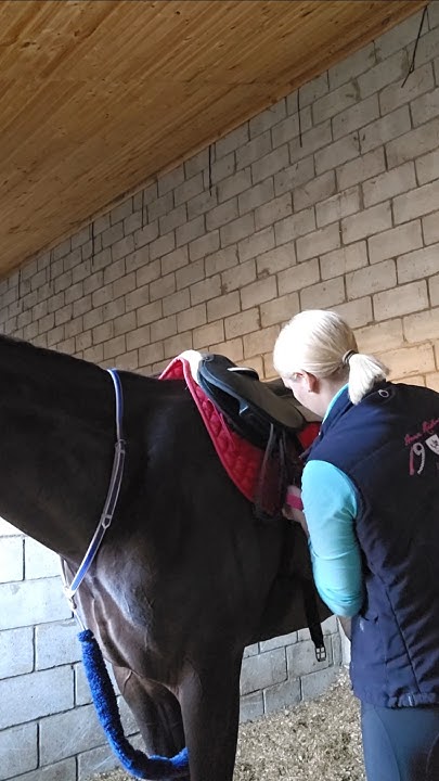 Седловка скаковой лошади 🏇 #лошадки #horse #equestrian #ипподром # ...