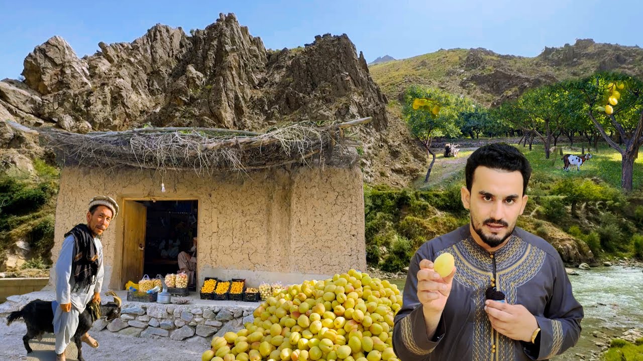 Ghorband Dara | Parwan Afghanistan | غوربند دره ـ  پروان