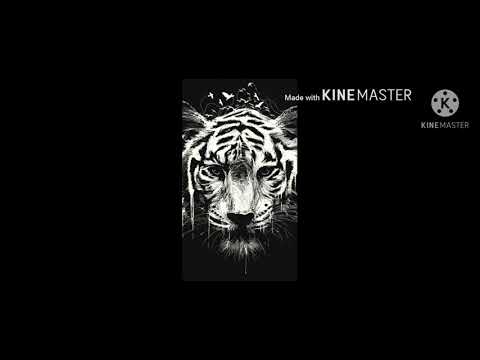 مشاهدة فيلم السرع و الغضب     