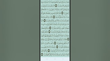 من سورة النمل: 23 إلى سورة النمل: 65 تجويد @الأستاذ_عامر_تياني #ختمة_الورد_القرآني_4صفحات