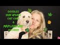 Doodles | Chit Chat | Skin update and MAPLEBLUME |Tammy's Ageless Beauty