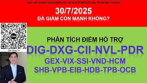 Phân tích cổ phiếu Dig Dxg Cii NVL PDR GEX Vix Ssi Vnd Hcm -  Shb Vpb Eib Hdb Tpb Ocb