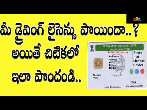 How to download driving licence and rc by using rta m wallet