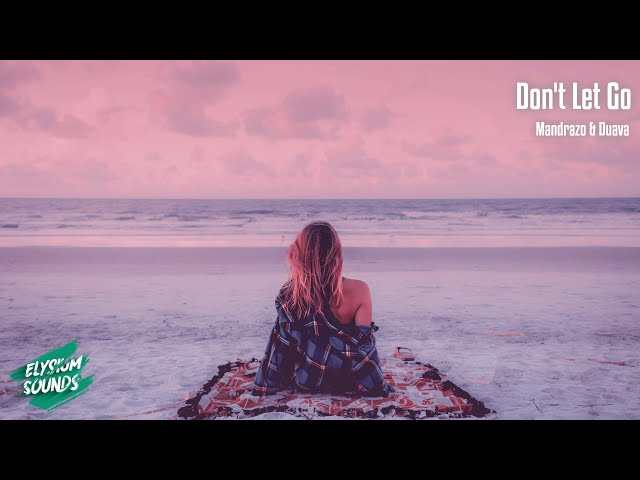 Mandrazo & Duava - Don't Let Go (Lyric Video) 🎙️ class=