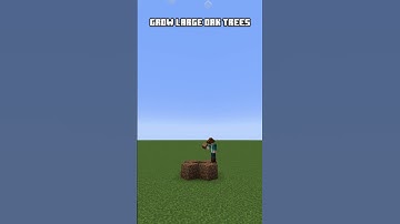 How to Grow Big Trees in Minecraft