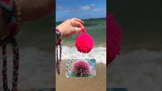 HUNTING FOR FIDGETS at the BEACH! 😱☀️🌊 *rare amazon fidgets*