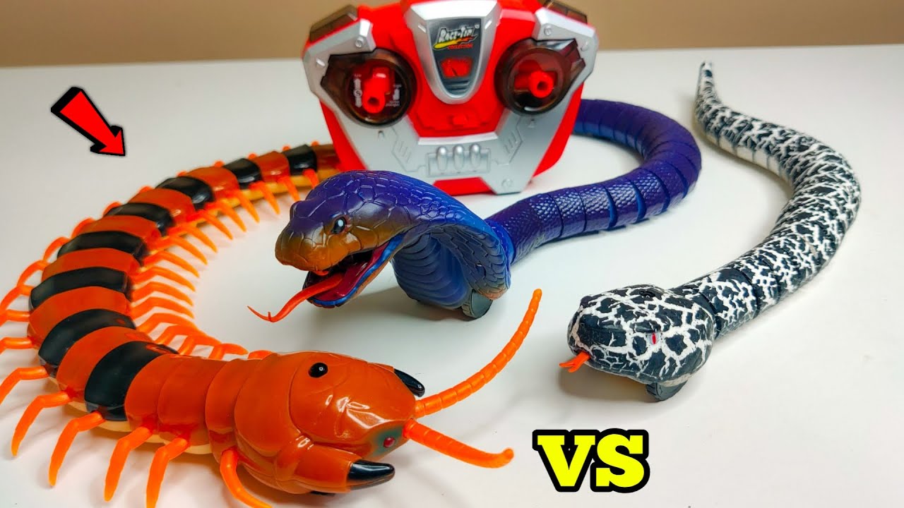 RC Snake Unboxing & Testing - Chatpat toy tv 